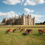 Burghley House gets set to celebrate
