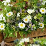 Kent County Show a must for gardeners