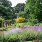 Kew to host a regal display