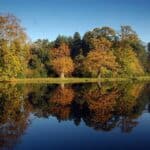 Painshill gets set to welcome back groups