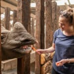 Charge into Rhino Week at WMSP
