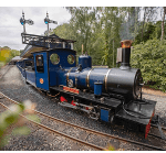 Steam into summer in the New Forest