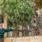 A day in the life of a zoo keeper