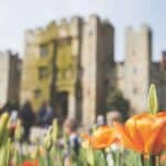 Visitors to Hever Castle raise nearly £20k for charity