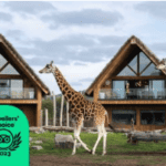 West Midland Safari Park celebrates a trio of wins