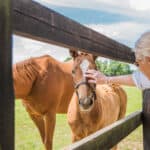 Enjoy a day out at the home of horseracing