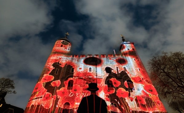 poppy at the tower