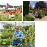 Tickets now on sale for Belvoir Castle’s Flower and Garden Show