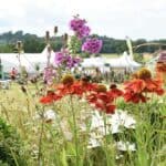 Flower and Garden Show set to bloom at Belvoir Castle