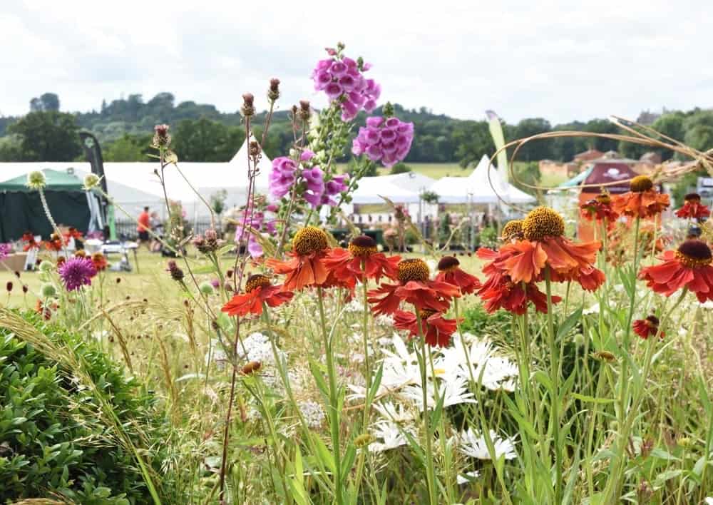 belvoir castle flower & garden show min