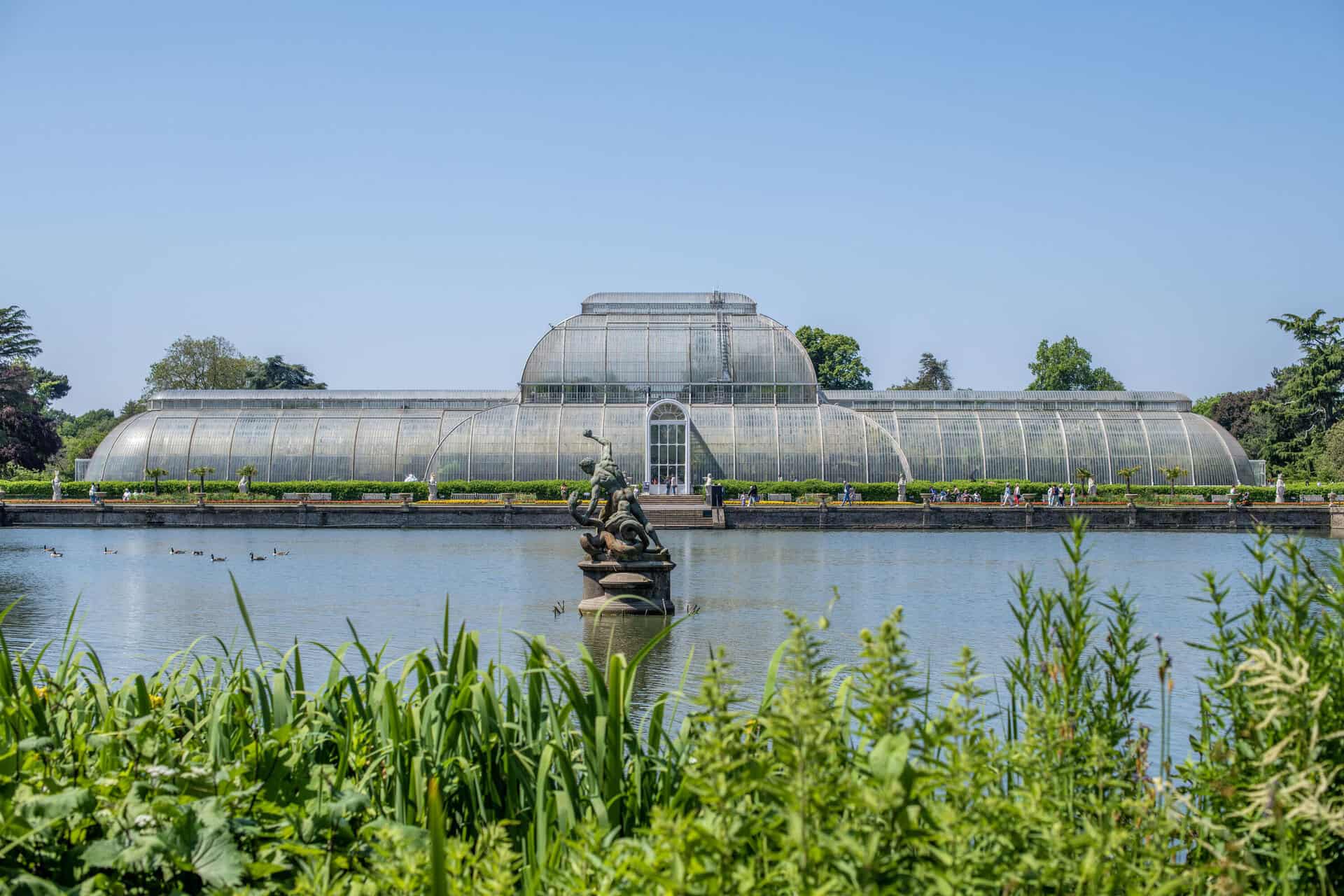 view of the palm house from across the pond, summer 2023