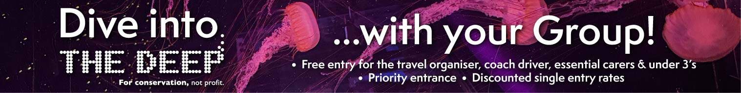 group travel world web banner