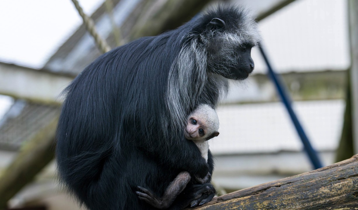 screen shot 2026 02 12 at 12.30.49