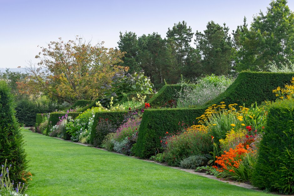 rhs garden hyde hall.