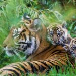 Moxy Chester Hotel to host delegates for Zoo Group Travel Roadshow