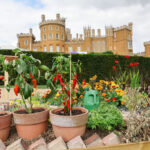 Belvoir Castle’s Flower and Garden Show is back