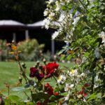 Tour RHS Garden Wisley for free