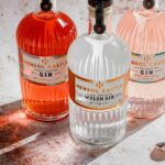 Say cheers to a gin tour at Hensol Castle