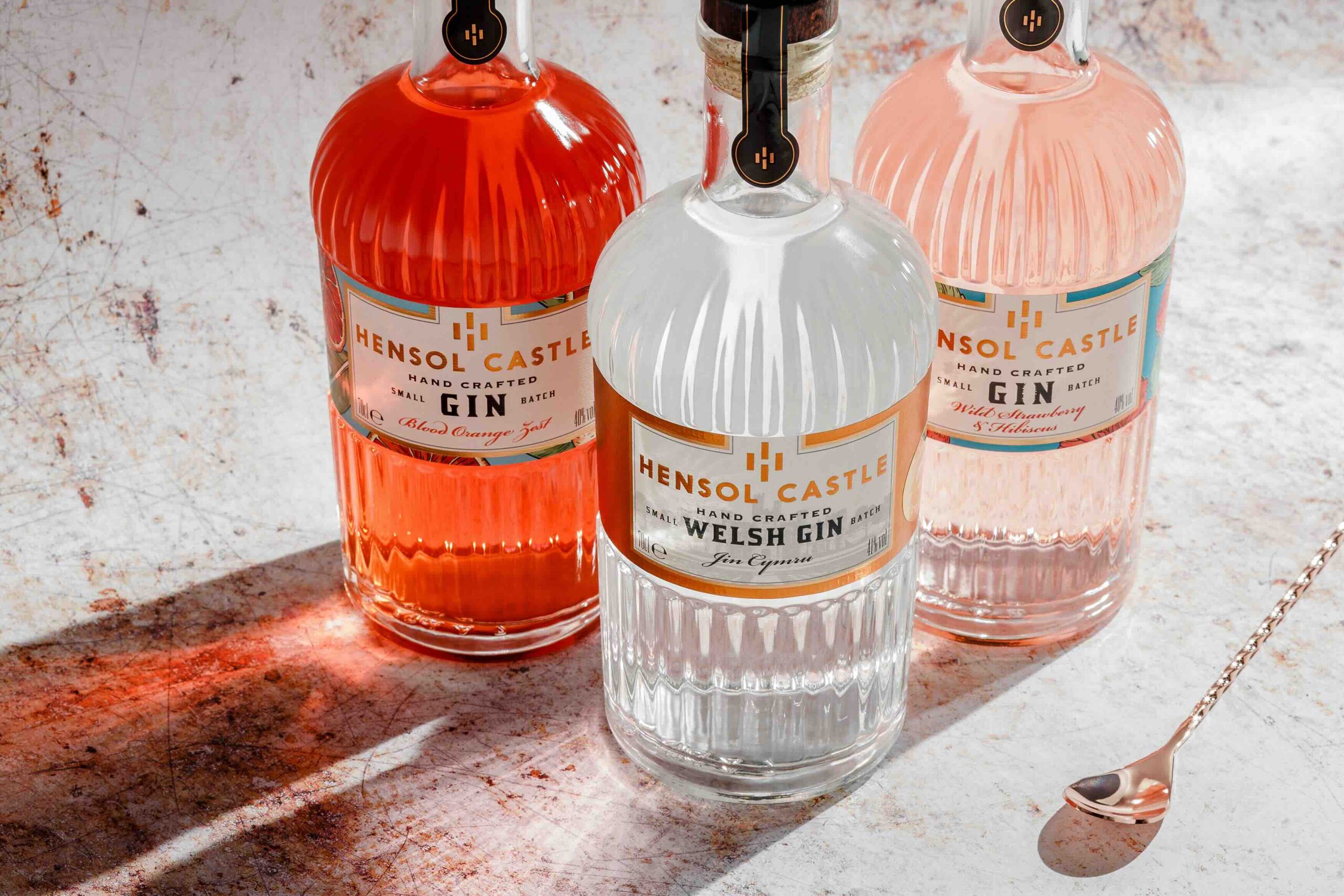 hensol castle gin copy